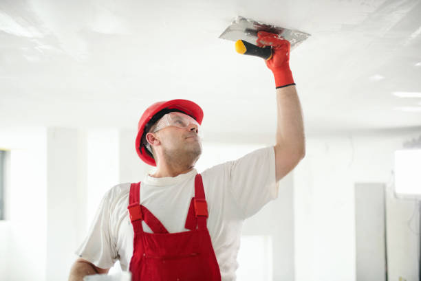 Best Eco-Friendly and Low-VOC Painting  in Vicksburg, MI